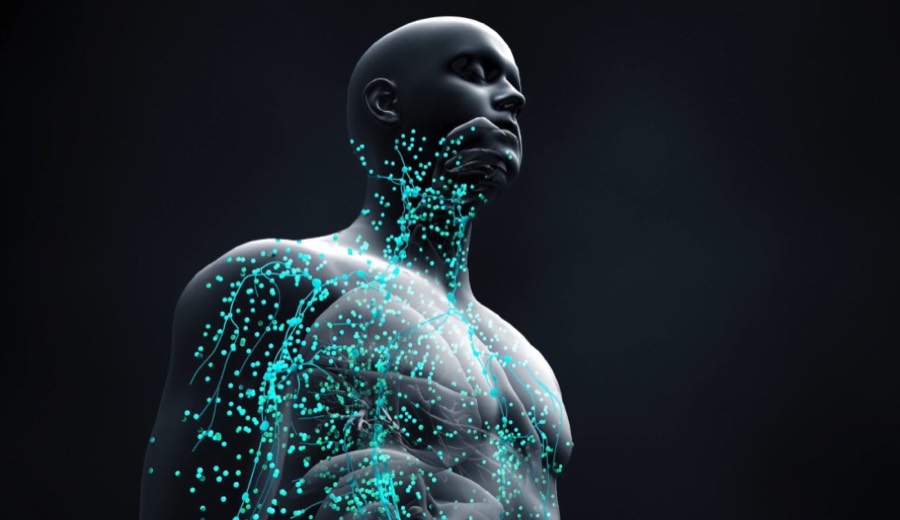 Medical visualisation of the immune system