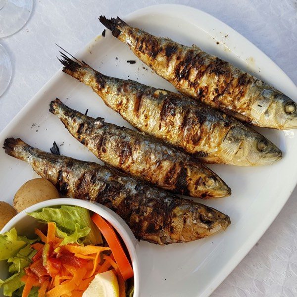 Grilled sardines, a rich dietary source of vitamin D
