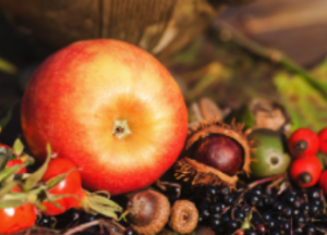 Apple & Elderberry Soup