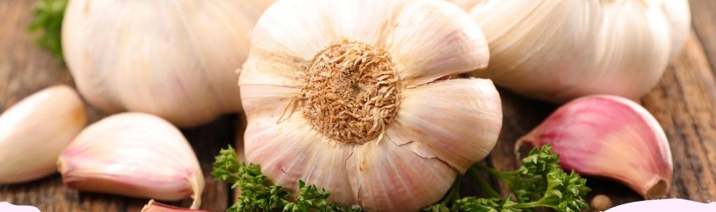 Alioli